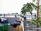 Balcones Estilo Rustico