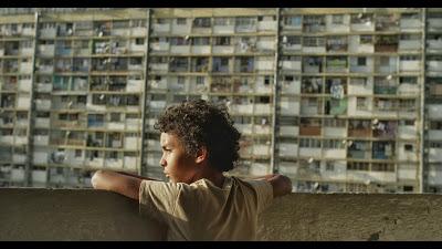 'Pelo malo' conquista San Sebastián y se lleva la Concha de Oro