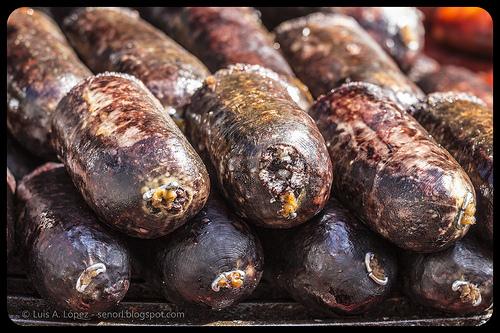 Desembarco Carlos V 2013