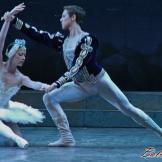 El Lago de los Cisnes. Ballet Nacional de Cuba (pase gráfico)