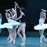 El Lago de los Cisnes. Ballet Nacional de Cuba (pase gráfico)