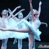 El Lago de los Cisnes. Ballet Nacional de Cuba (pase gráfico)