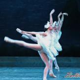 El Lago de los Cisnes. Ballet Nacional de Cuba (pase gráfico)