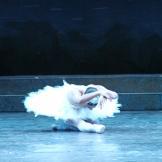 El Lago de los Cisnes. Ballet Nacional de Cuba (pase gráfico)