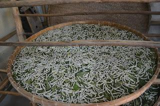 Día 5: La joya de Hoi An (My Son y Marble Mountains)