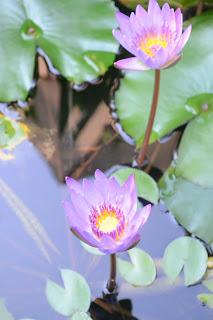 Día 5: La joya de Hoi An (My Son y Marble Mountains)