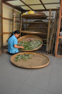 Día 5: La joya de Hoi An (My Son y Marble Mountains)