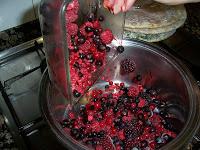 HELADO DE FRUTAS DEL BOSQUE  y YOGURT