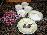 HELADO DE FRUTAS DEL BOSQUE  y YOGURT