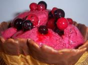 HELADO FRUTAS BOSQUE YOGURT