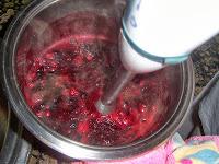 HELADO DE FRUTAS DEL BOSQUE  y YOGURT