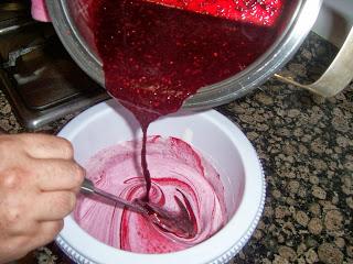 HELADO DE FRUTAS DEL BOSQUE  y YOGURT