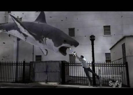 561988_10151833525199333_1337974914_n