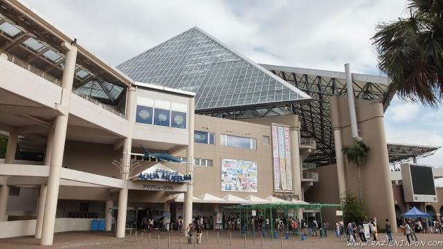 Sea Paradise (acuario de Hakkeijima)