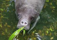 Lo mejor de El Mundo de Skizzo: los 10 posts más leídos en el mes de Agosto 2013.