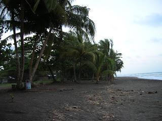Playa desove de tortugas, Tortuguero,Costa Rica, vuelta al mundo, round the world, La vuelta al mundo de Asun y Ricardo, mundoporlibre.com