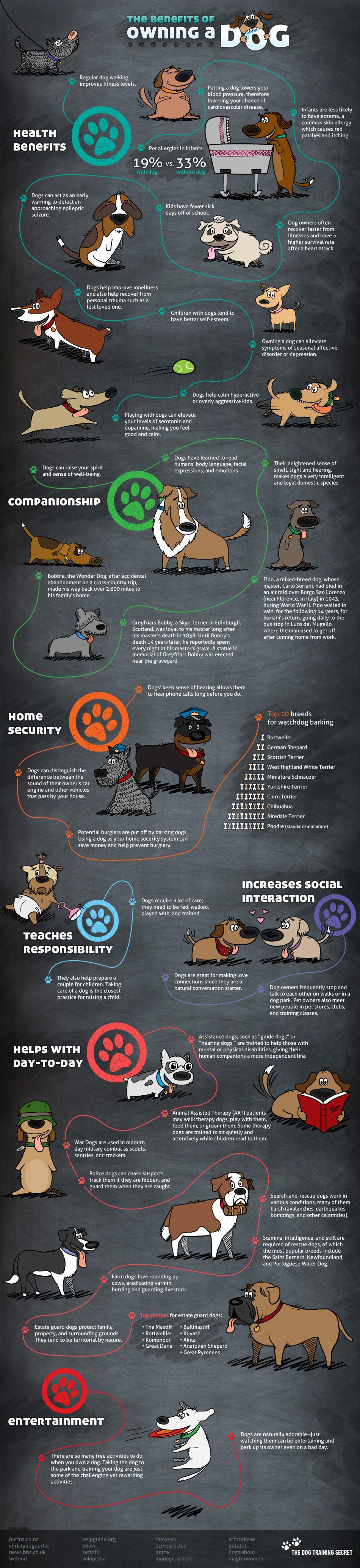 Los beneficios de tener un perro #Infografía #Mascotas #Salud #Curiosidades