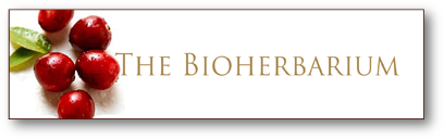 Cosmética Natural de calidad y cercana: THE BIOHERBARIUM