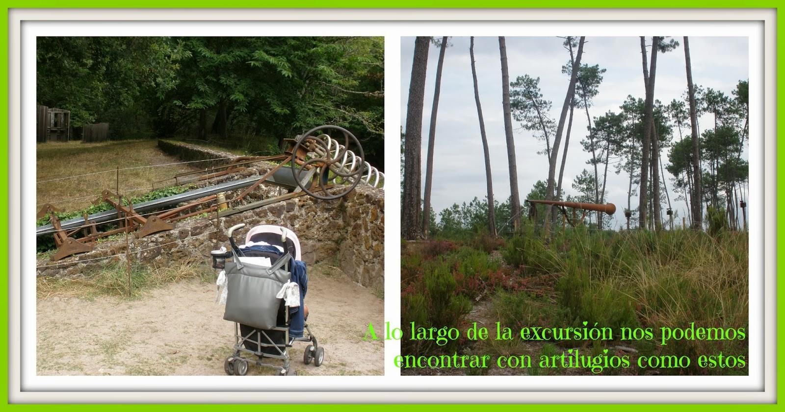 Eco-museo de La Grande Lande Marquèse