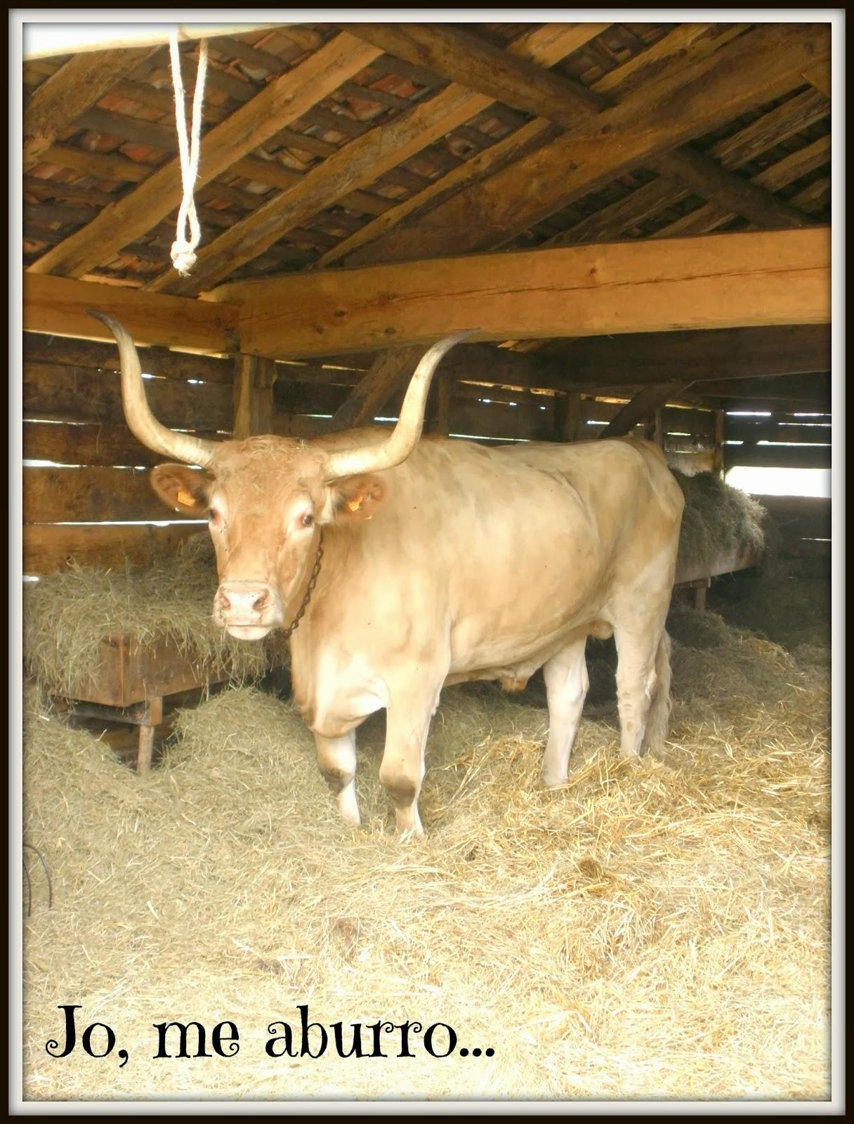 Eco-museo de La Grande Lande Marquèse