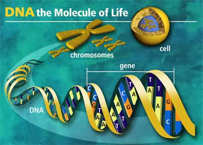 VASCOS Y EL HAPLOGRUPO X -LOS REFUGIADOS DE LA ATLANTIDA