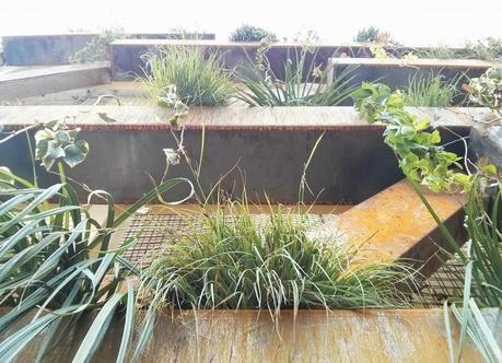 Jardín vertical con forma de árbol en Vitoria-Gasteiz. Detalle jardín vertical