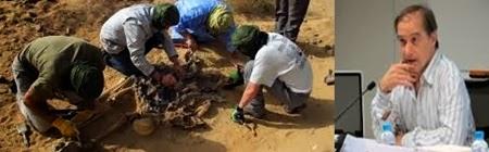 El Sahara y su pasado