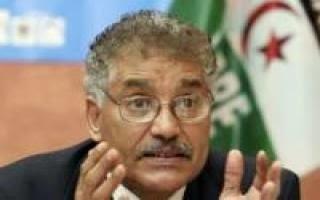 Marruecos fracasò en su intento de bloquear el informe Tannock al Parlamento Europeo sobre el Sahara Occidental