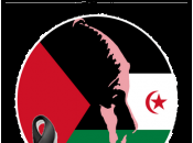 A.M.S.E. condena muerte saharaui Assa