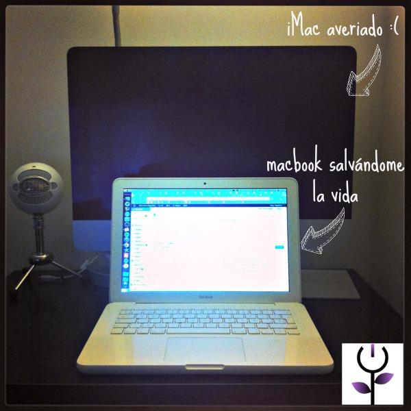 Así es cómo estoy trabajando ahora