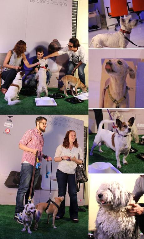 walloff_stone_design_wanna_one_1