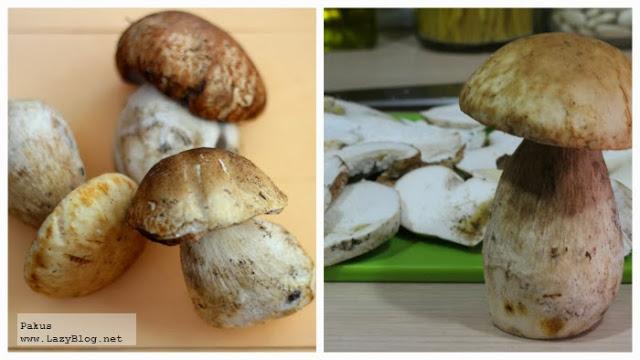 Delicioso otoño. Salteado de boletus con yema de huevo de corral. Receta