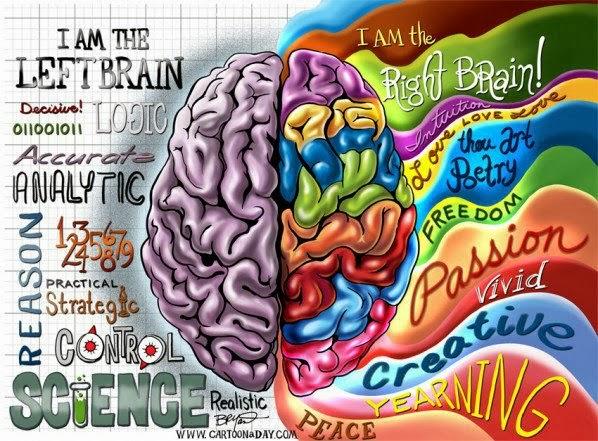 Hemisferios Cerebrales y su estudio en Neuromarketing