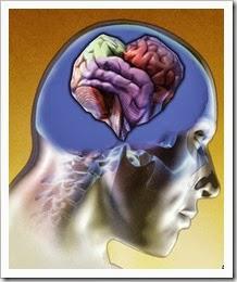 Razón y emoción en la conducta de compra