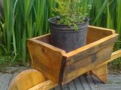 Pros Contras Jardineras Maceteros Madera