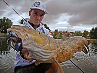 Historia de un robo.