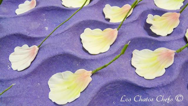 Curso de Flores en Cake & Co. Bdn