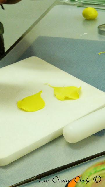 Curso de Flores en Cake & Co. Bdn