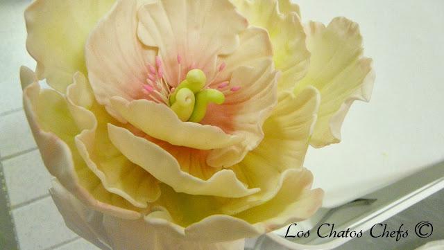 Curso de Flores en Cake & Co. Bdn