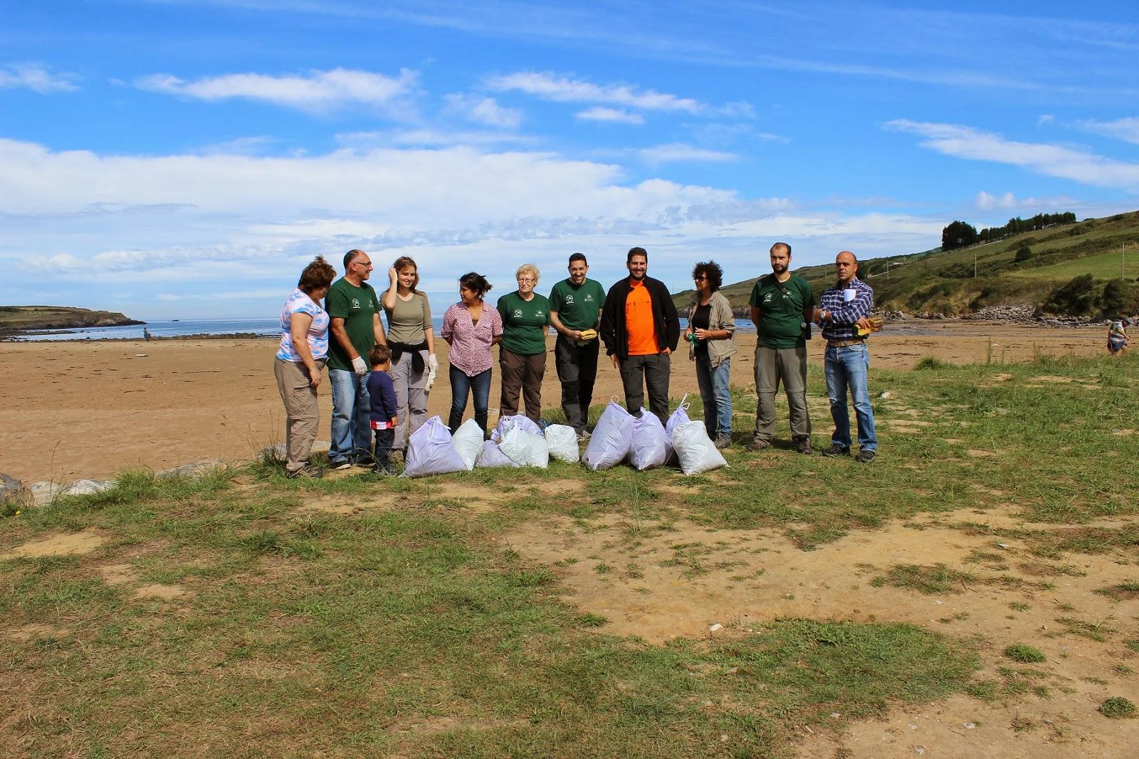Correlimos menudo y plantas