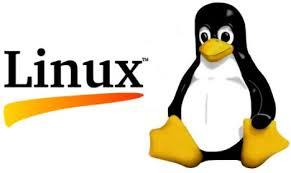10 Argumentos para usar Linux