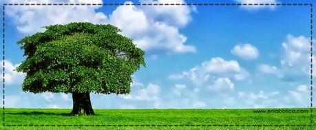 Soy madrina de un arbol Soy madrina de un arbol