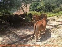 Playas de HK: Long Ke