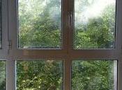 Normal false X-NONE MicrosoftI...