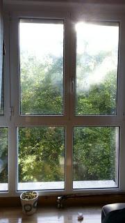 Normal 0 21 false false false ES X-NONE X-NONE MicrosoftI...