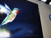 Nuevo algoritmo Google ‘Hummingbird’ (colibrí)