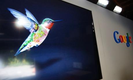 Nuevo algoritmo Google ‘Hummingbird’ (colibrí)