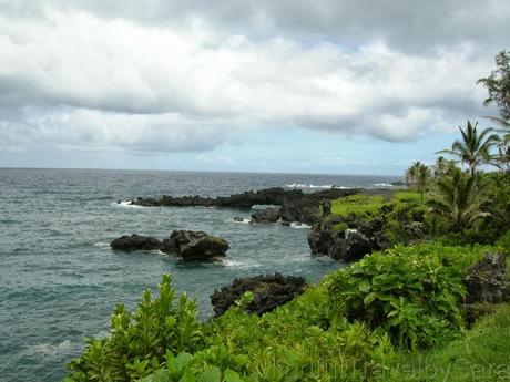 Descubriendo la naturaleza de Maui: Camino a Hana