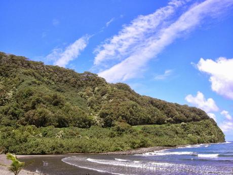 Descubriendo la naturaleza de Maui: Camino a Hana