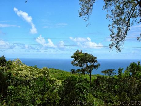 Descubriendo la naturaleza de Maui: Camino a Hana